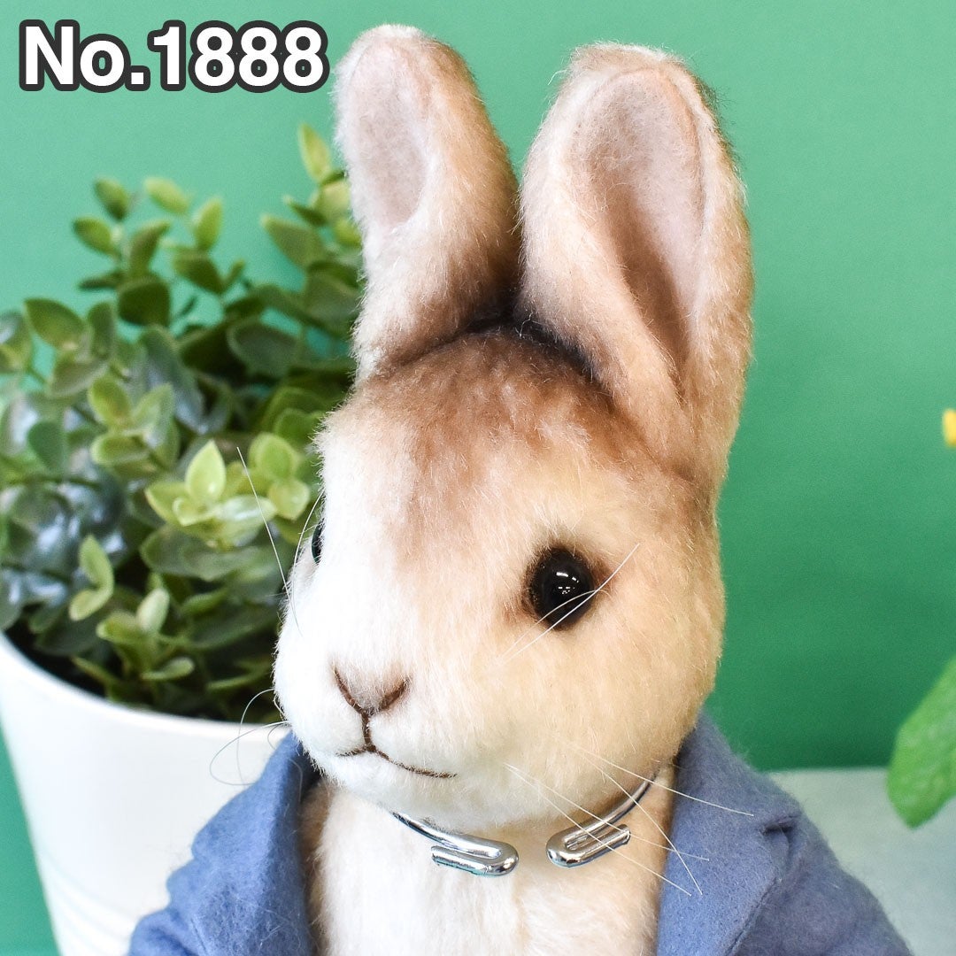 R.John Wright「Peter Rabbit」 | Dear Bear 目黒店