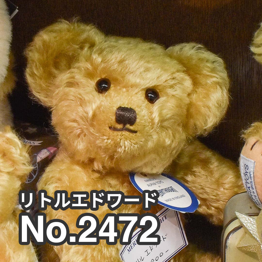メリーソート エドワード | Dear Bear 目黒店