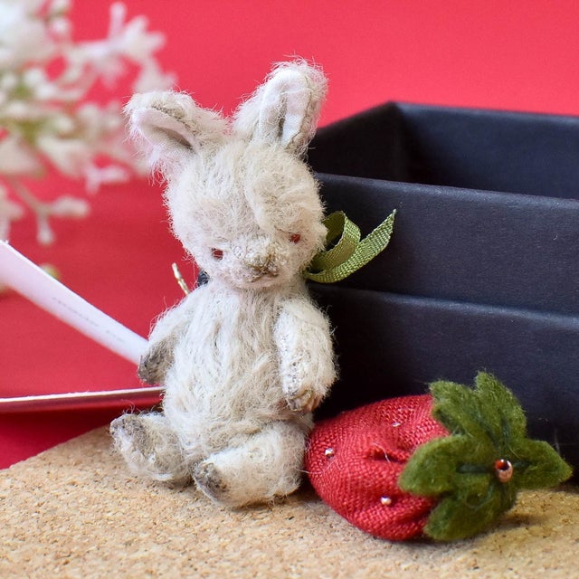 Dear Bear 目黒店